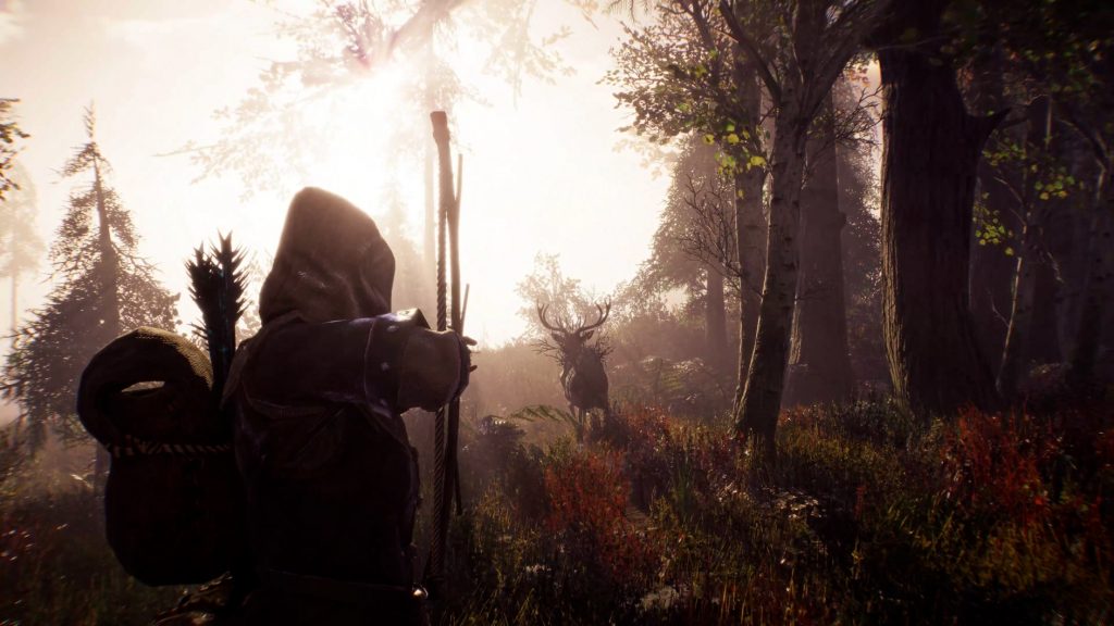 Bild: Sand Sailor Studio