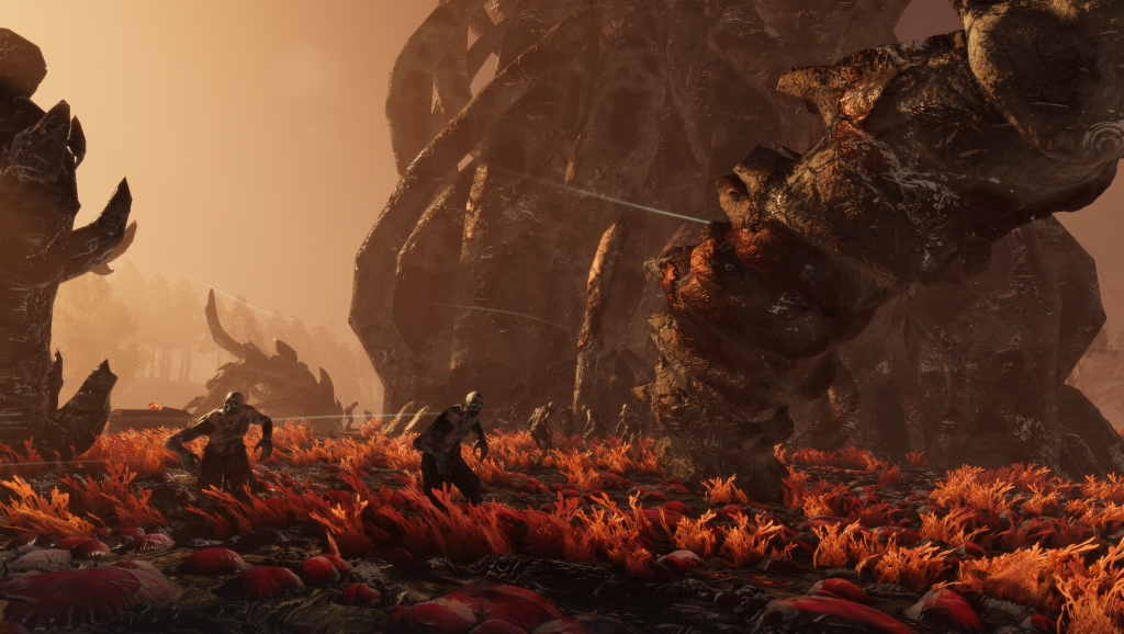 Bild: Sand Sailor Studio